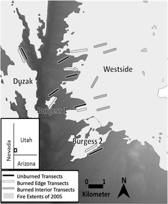 Spatio-Temporal Patterns of Joshua Tree Stand Structure and Regeneration Following Mojave Desert <mark class="highlighted">Wildfires</mark>